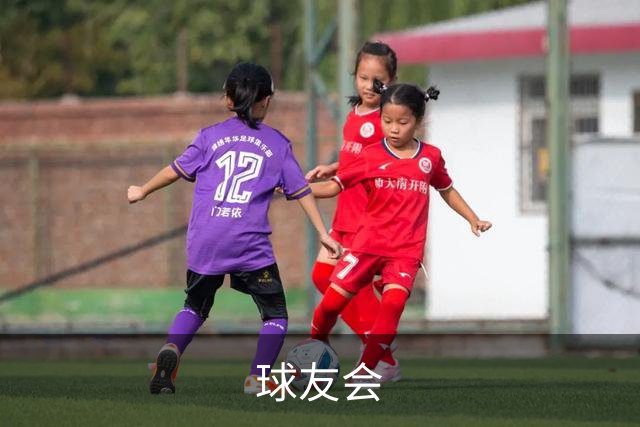 球友会公司简介图片